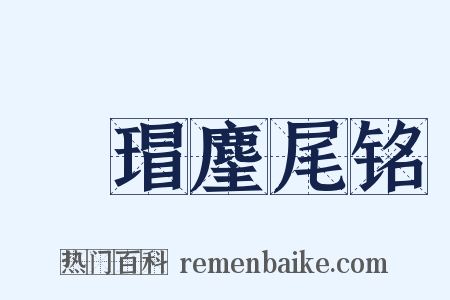瑇瑁麈尾铭是什么意思的图片